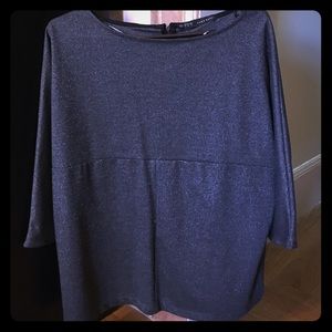 Zara Boatneck Metallic Top