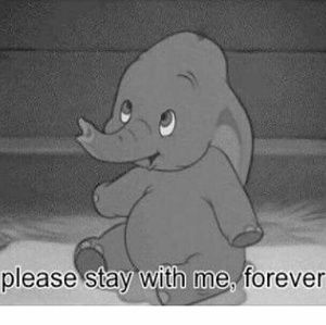 Meet your Posher, Paris