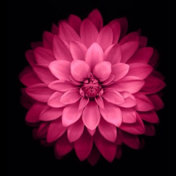 Meet your Posher, Kaitlyn