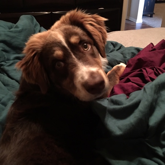 Meet your Posher, Nichelle - Picture 1 of 1