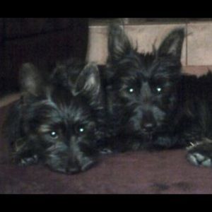 Meet your Posher, Tammy