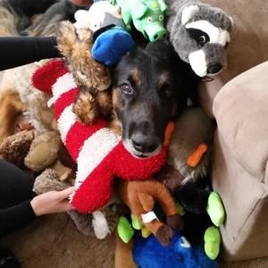 Meet your Posher, Tracey