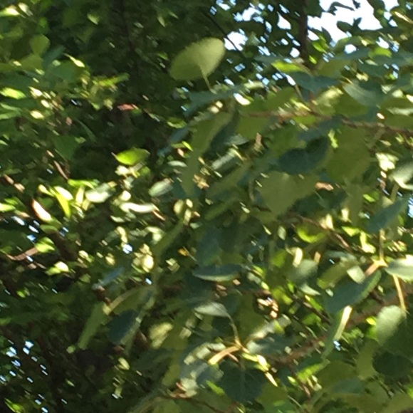 Meet your Posher, Gabrielle