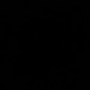 Meet your Posher, Malaya