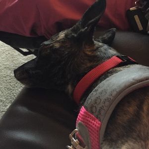 Meet your Posher, Mildred