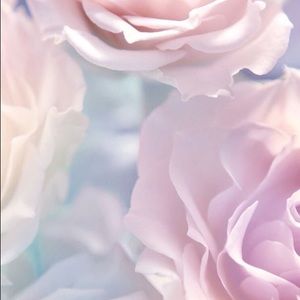 Meet your Posher, Adrianna