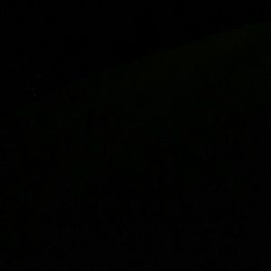 Meet your Posher, Shane