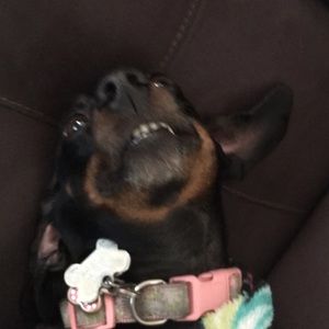 Meet your Posher, Raina