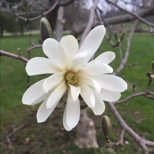 Meet your Posher, Jodie