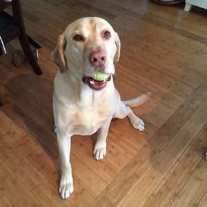 Meet your Posher, Nick