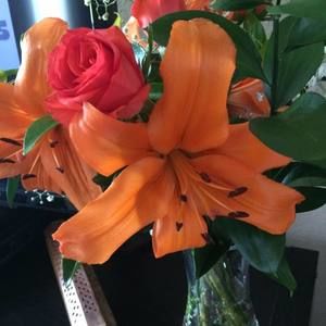 Meet your Posher, Brenda