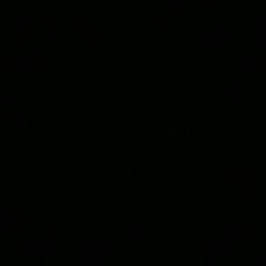 Meet your Posher, Salyncia