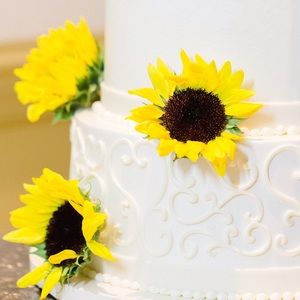 Meet your Posher, Kirsten