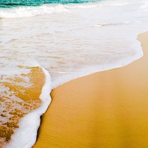 Meet your Posher, Cari