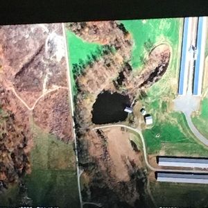 Meet your Posher, Bridget