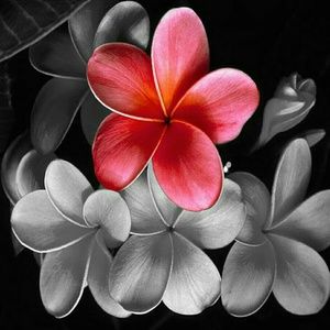 Meet your Posher, Mindy