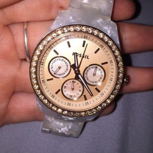 FOSSIL WATCH!!!