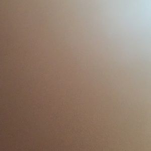 Meet your Posher, Rose