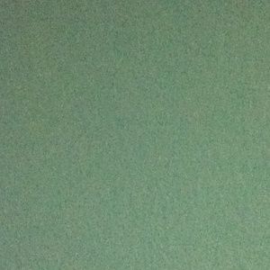 Meet your Posher, Jessi