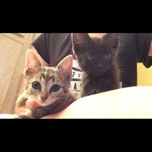 Meet your Posher, Carol