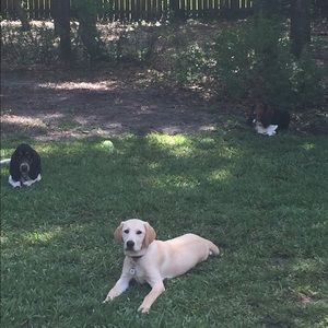 Meet your Posher, Bonnie