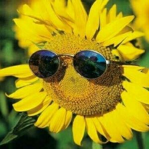 Meet your Posher, Claire