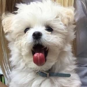 Meet your Posher, Tricia