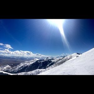 Meet your Posher, Molly