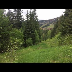 Meet your Posher, Maddy