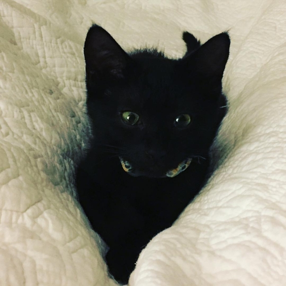 Meet your Posher, Toni