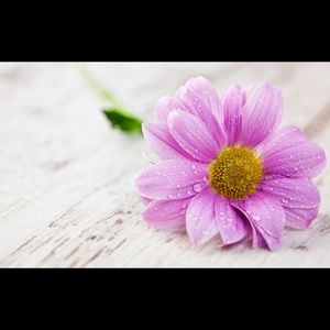 Meet your Posher, Kirsten