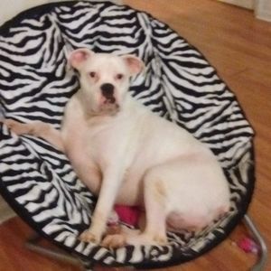 Meet your Posher, Leslie