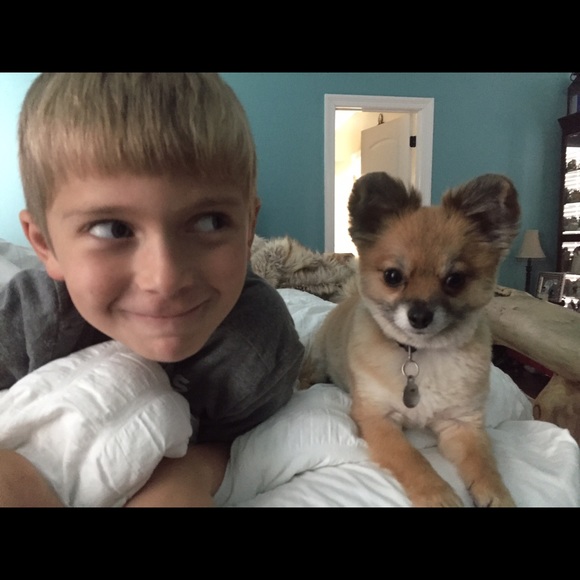 Meet your Posher, Olivia - Picture 4 of 5