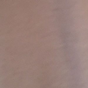 Meet your Posher, Allie