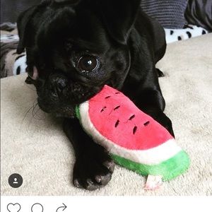 Meet your Posher, Zoe