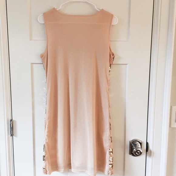 ✨💕HP💕✨Vintage-Like Blush Dress - Picture 3 of 4
