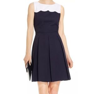 Tahari by ASL navy and white jacquard dress, NWOT