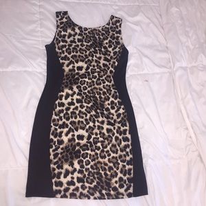 Stretchy cheetah print mini dress