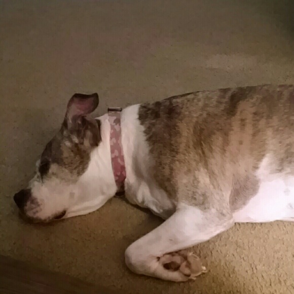 Meet your Posher, Donna - Picture 1 of 1