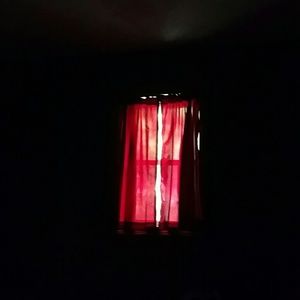 Meet your Posher, Gino