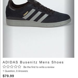 Never been worn Adidas Busenitz
