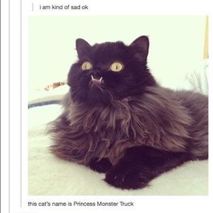 Meet your Posher, Marie-claire