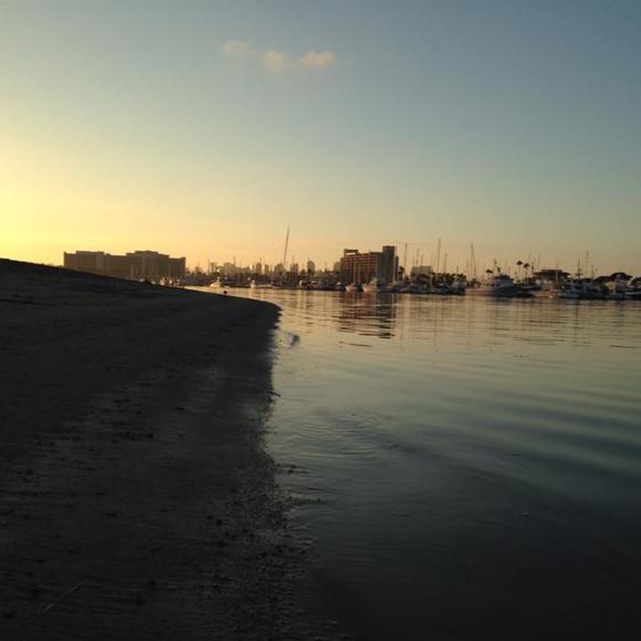 Meet your Posher, Alyssa - Picture 1 of 1