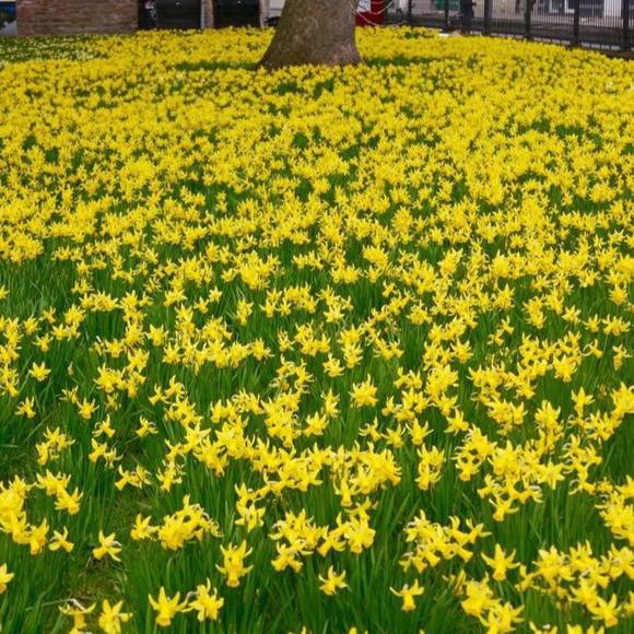 Meet your Posher, Marta lidia