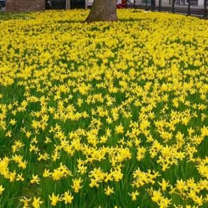 Meet your Posher, Marta lidia