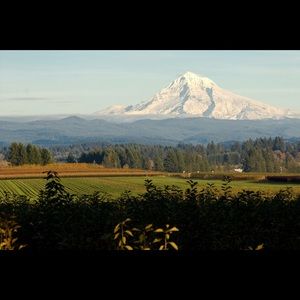 Meet your Posher, Teresa