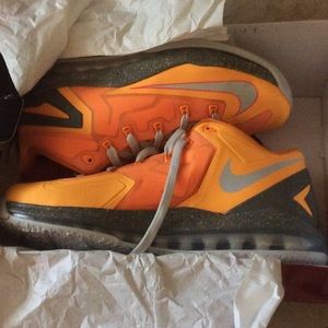 Max Lebron X I low