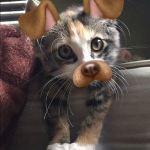 Meet your Posher, Natalie