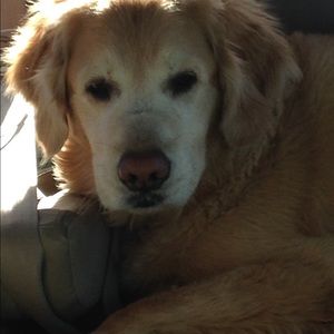 Meet your Posher, Diane