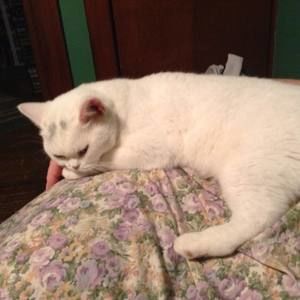 Meet your Posher, Cathy